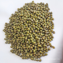 Chinese Bulk Mung Beans For Sale